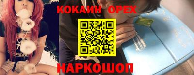 стаф Сланцы