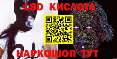 стаф Сланцы