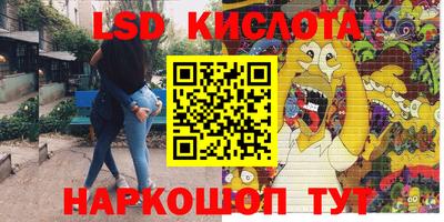 стаф Сланцы