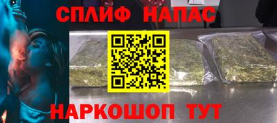 стаф Сланцы