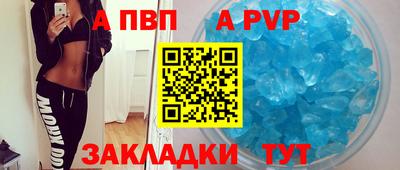 стаф Сланцы