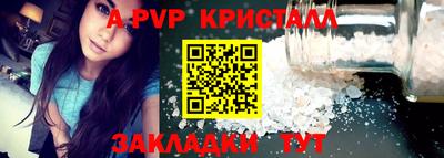 стаф Сланцы