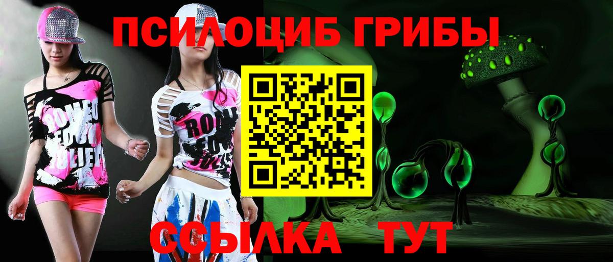 Галлюциногенные грибы прущие грибы  Вход с VPN  Новодвинск  Псилоцибиновые грибы Psilocybine cubensis 