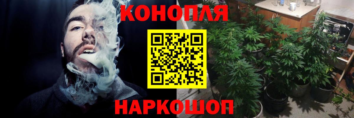 Новодвинск  Канабис ГИДРОПОН  Конопля семена  Бошки Шишки THC 21%  МАРИХУАНА конопля  Вход с VPN 